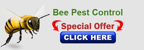 Bee-pest-control