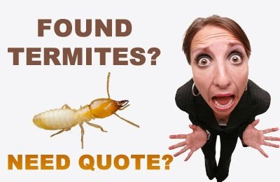 free-termite-quote-perth