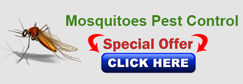 mosquitoes-pest control