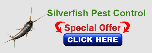 silverfish-pest-control