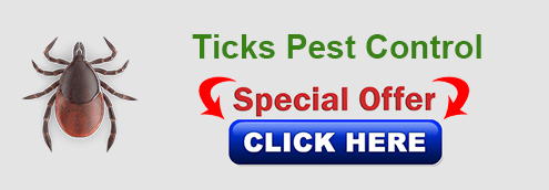 ticks-pest
