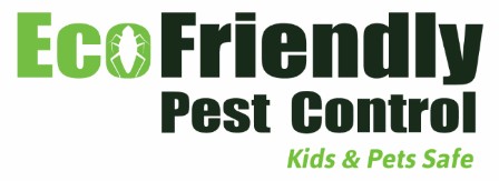 Ecofriendly Logo