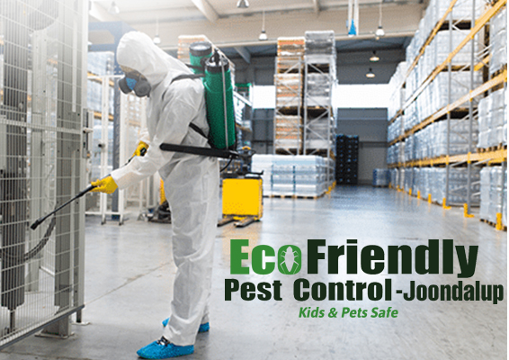 Pest Control Service