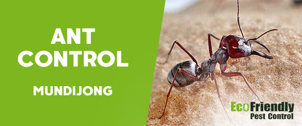 Ant Control  Mundijong 