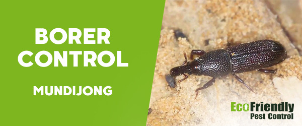 Borer Control  Mundijong 