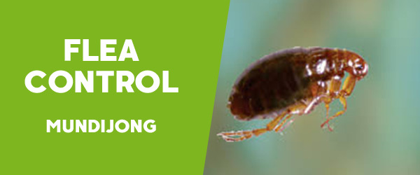 Fleas Control  Mundijong 