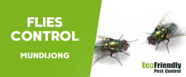 Flies Control  Mundijong 