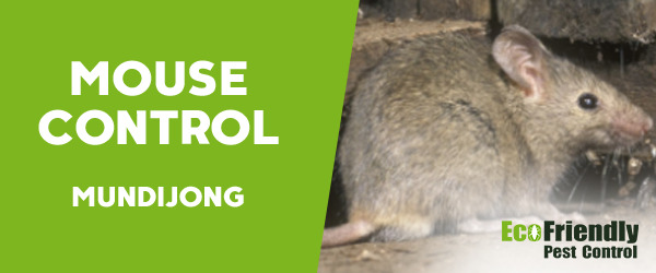 Mouse Control  Mundijong 