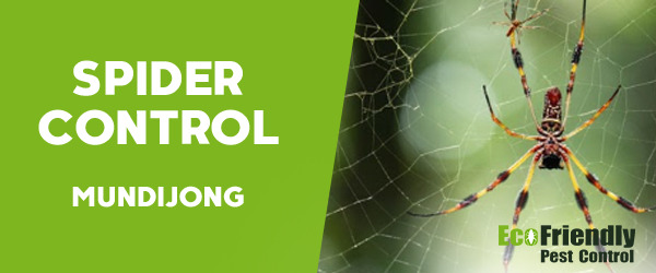 Spider Control  Mundijong 