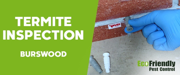 Termite Inspection Burswood 