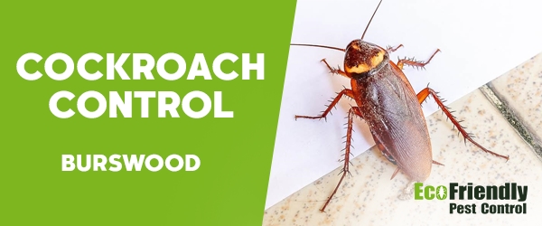 Cockroach Control Burswood  