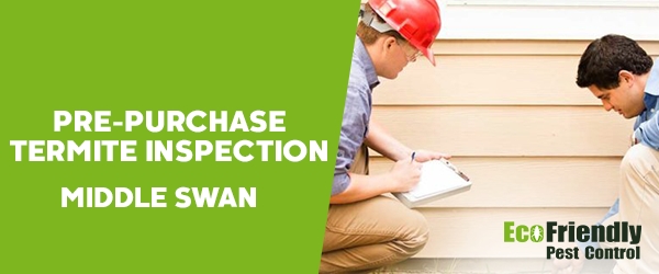 Pre-purchase Termite Inspection  Middle Swan 