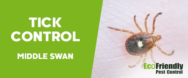 Ticks Control  Middle Swan 