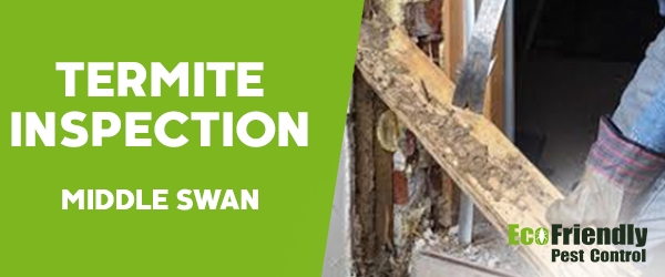 Termite Inspection  Middle Swan 