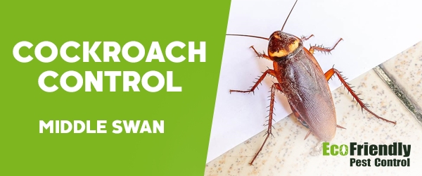 Cockroach Control  Middle Swan  