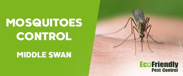 Mosquitoes Control  Middle Swan 