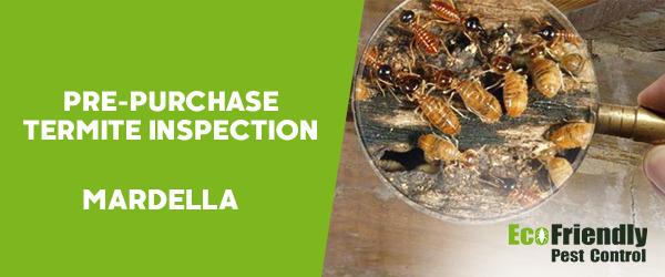 Pre-purchase Termite Inspection Mardella 