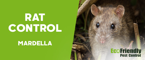 Rat Pest Control Mardella 