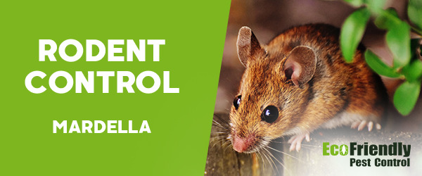 Rodent Treatment Mardella 