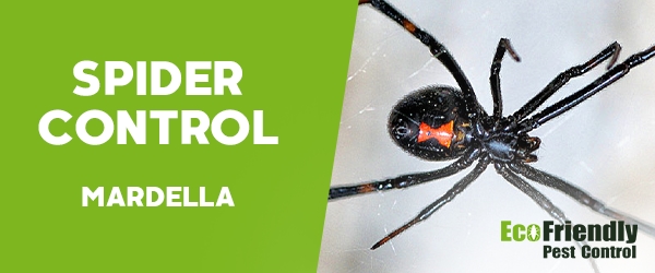 Spider Control Mardella 