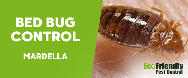 Bed Bug Control Mardella 