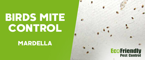 Bird Mite Control Mardella 