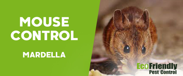 Mouse Control Mardella 