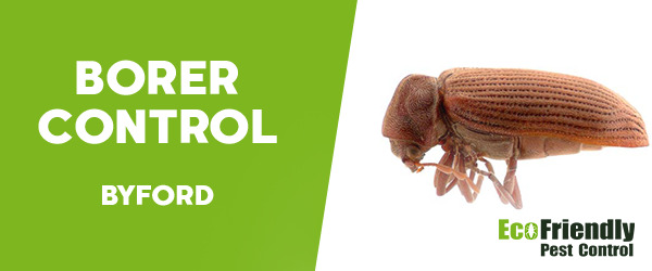 Borer Control  Byford 