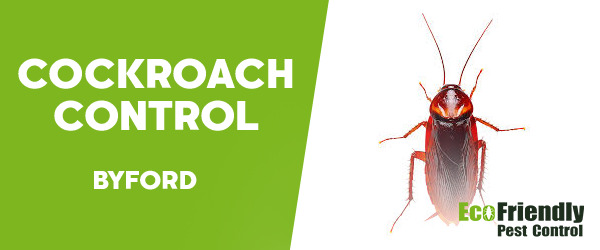 Cockroach Control  Byford  