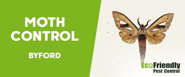 Moth Control  Byford 