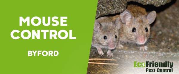 Mouse Control  Byford 