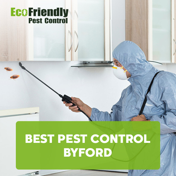 Best Pest Control  Byford 