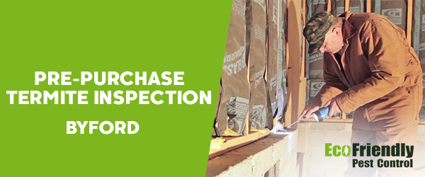 Pre-purchase Termite Inspection  Byford 