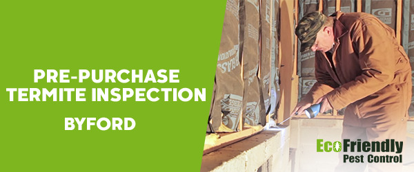 Pre-purchase Termite Inspection  Byford 