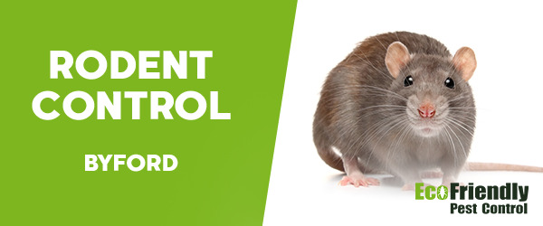 Rodent Treatment  Byford 