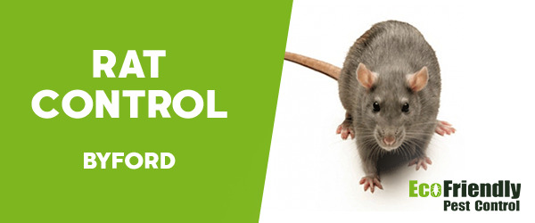 Rat Pest Control  Byford 