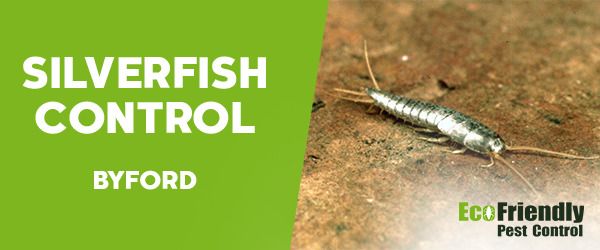 Silverfish Control  Byford 