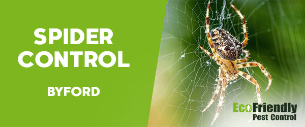 Spider Control  Byford 