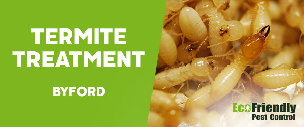 Termite Control  Byford 