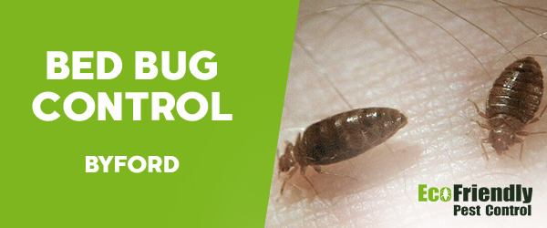 Bed Bug Control  Byford 