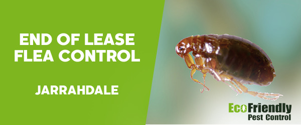 End of Lease Flea Control Jarrahdale 