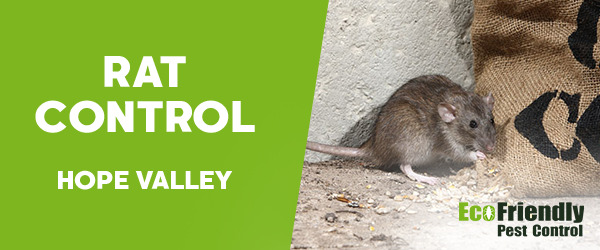 Pest Control Hope Valley