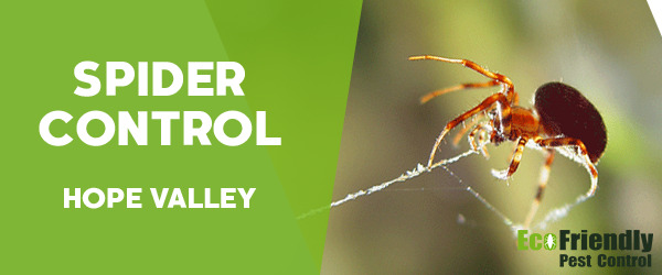 Pest Control Hope Valley