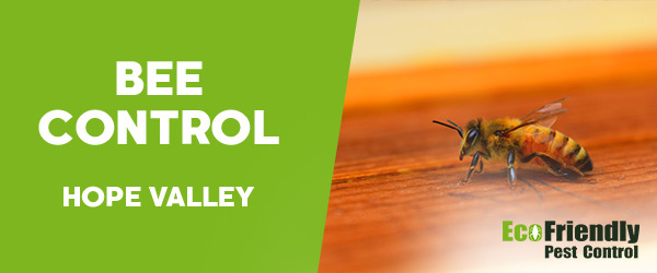 Pest Control Hope Valley