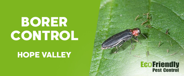 Pest Control Hope Valley