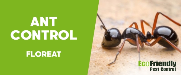 Pest Control Floreat 