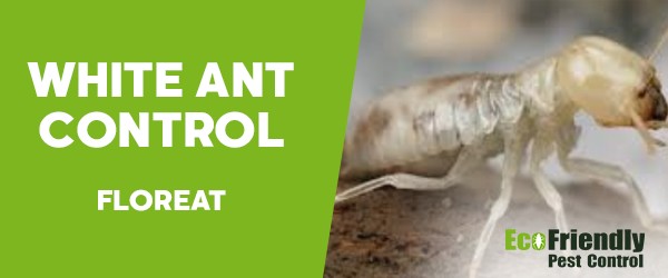Pest Control Floreat 