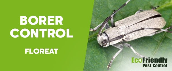 Pest Control Floreat 