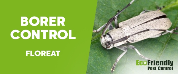 Pest Control Floreat 
