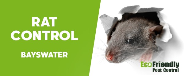 Pest Control Bayswater 